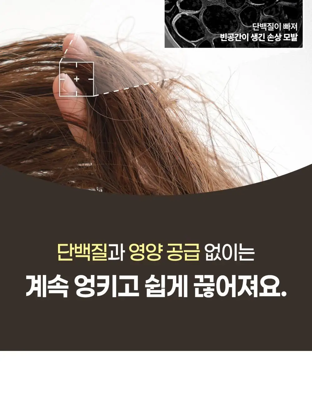 [열보호/집중영양] 힐링버드 리바이브 노워시 트리트먼트 데미지리페어 200ml+200ml 리필기획 상세페이지 9